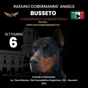 Doberpranzo di beneficenza - Busseto 6/9/2026