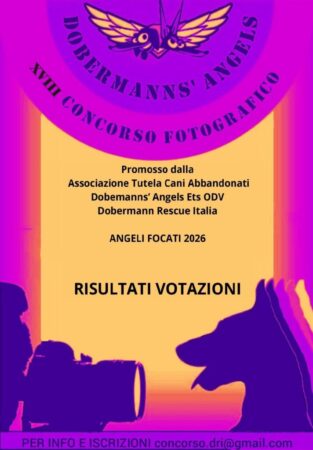 VINCITORI XVIII CONCORSO FOTOGRAFICO “ANGELI FOCATI 2026”